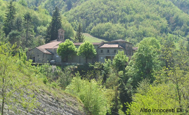 BADIA DI SUSINANA 7